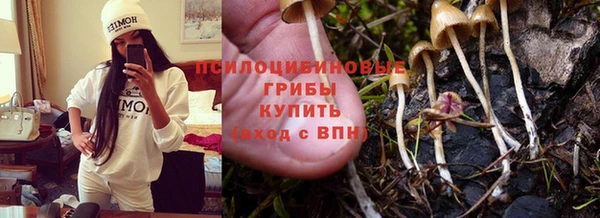 мет Липки