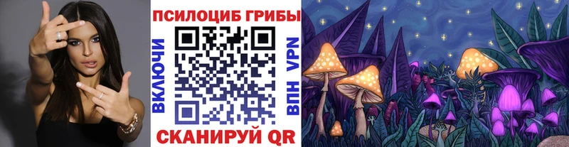 Купить закладки  Белая Холуница  Галлюциногенные грибы Psilocybine cubensis 